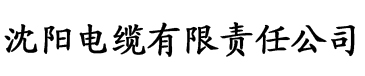 国产情侣2020免费视频电缆厂logo